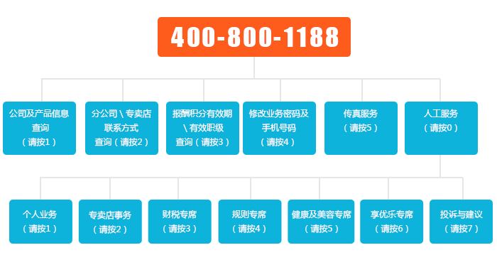 服务流程