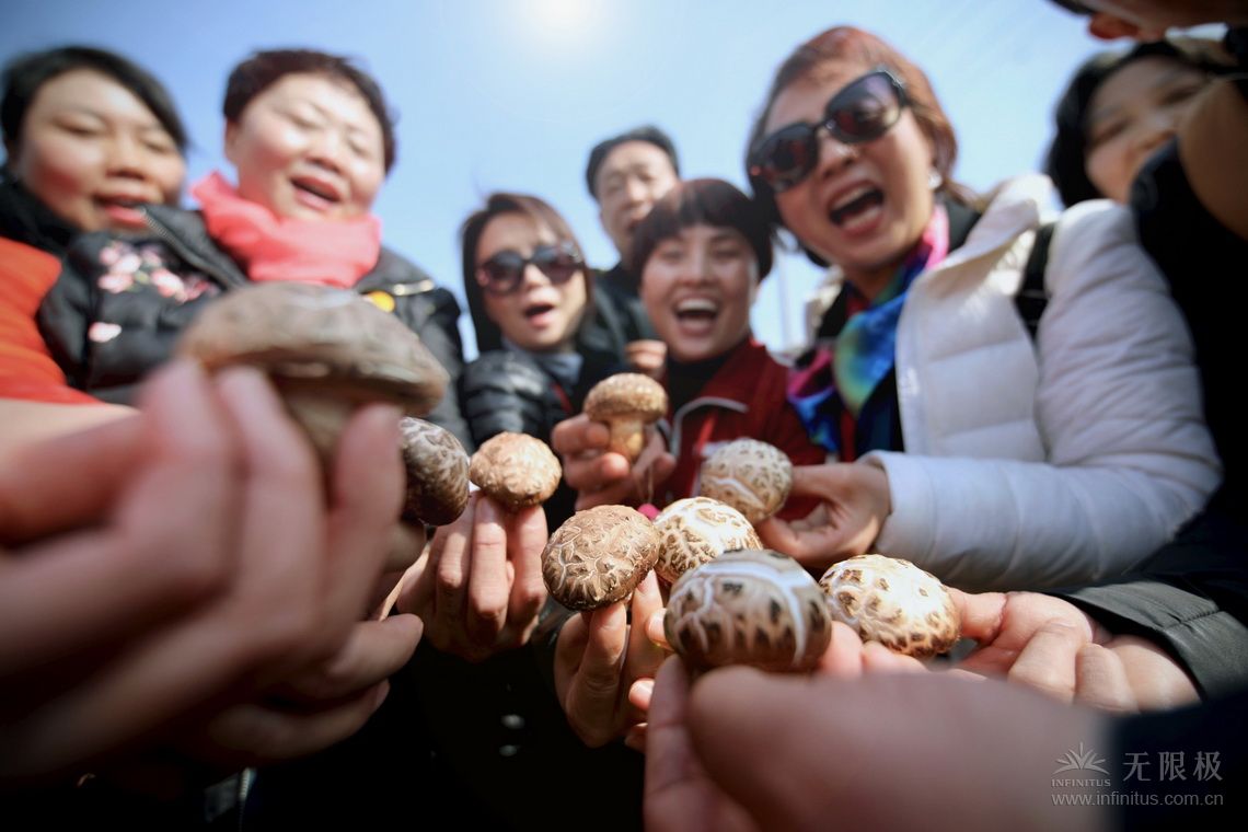 【图】无限极香菇溯源之旅