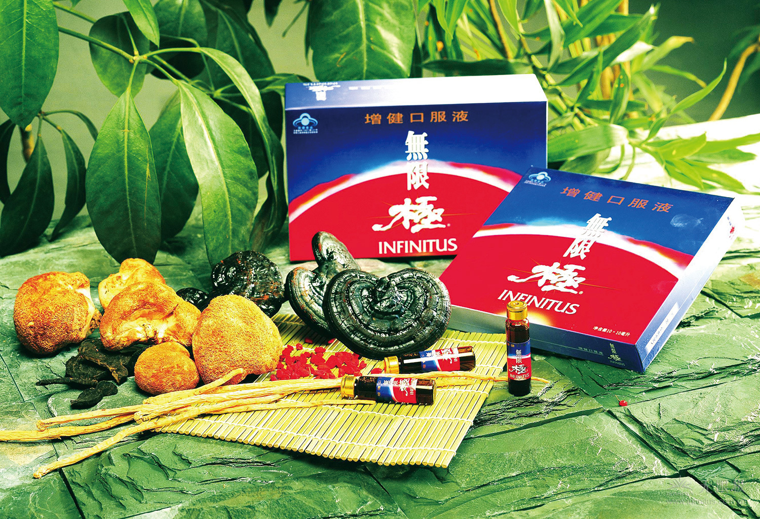 1994年8月8日，真人斗牛【中国】有限公司,的第一款产品“增健口服液”正式上市。