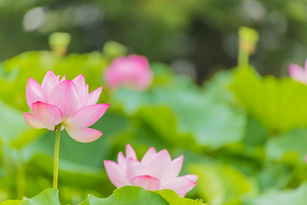 f825bdb8ec526ca7061ba002148169d