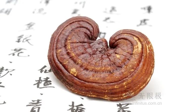 微信图片_20231008093312