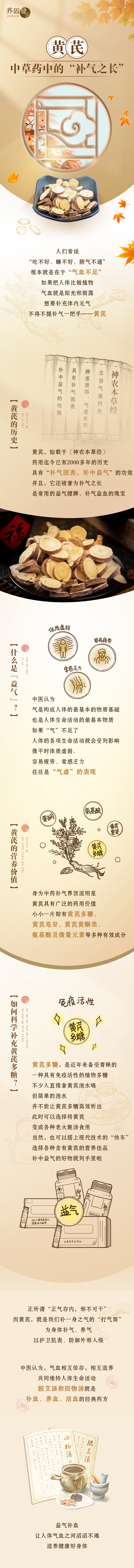 下载 (31)