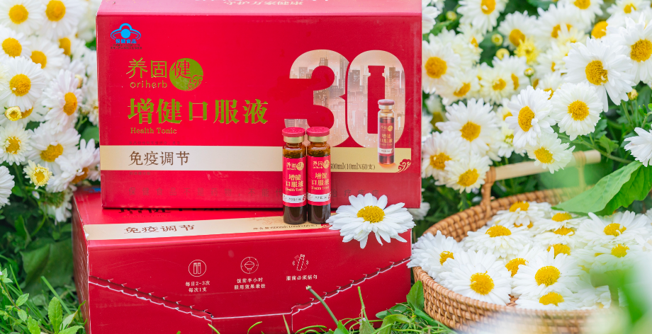 花開400年，這朵杭白菊為增健盛放！