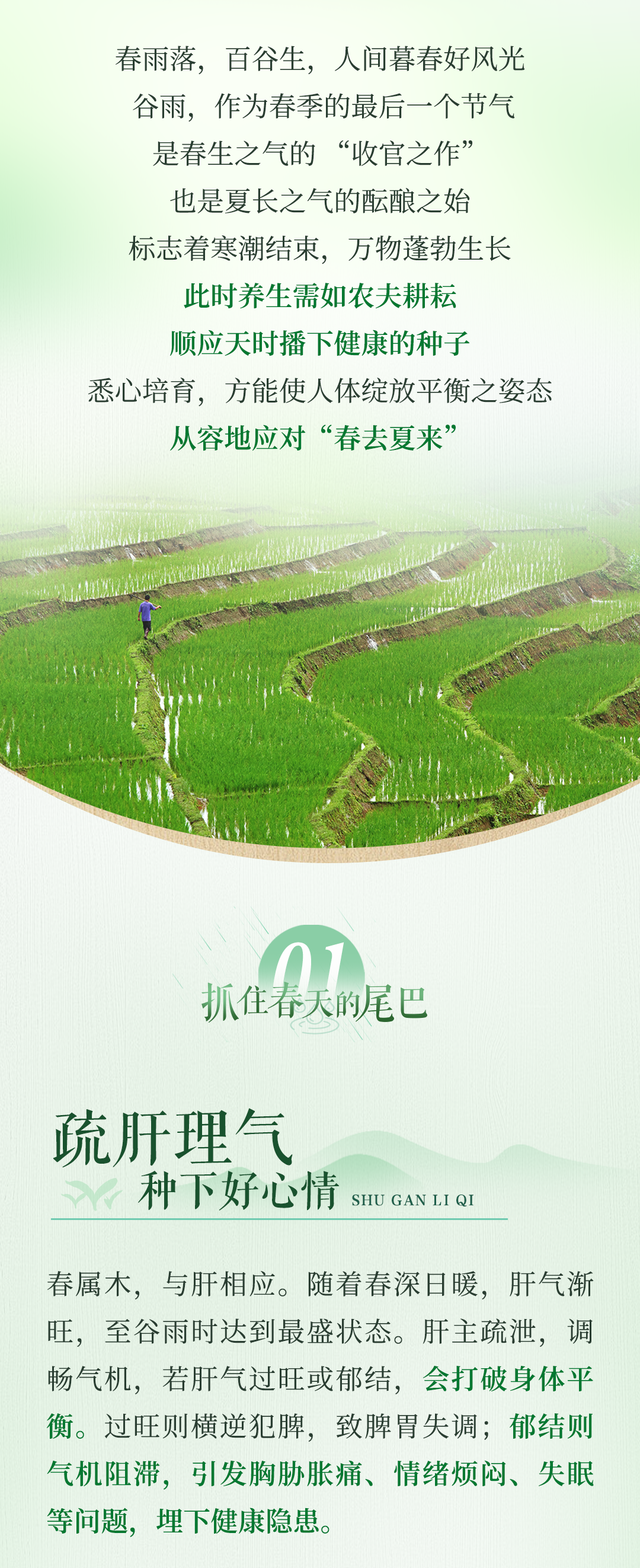 谷雨长图无产品版本_03