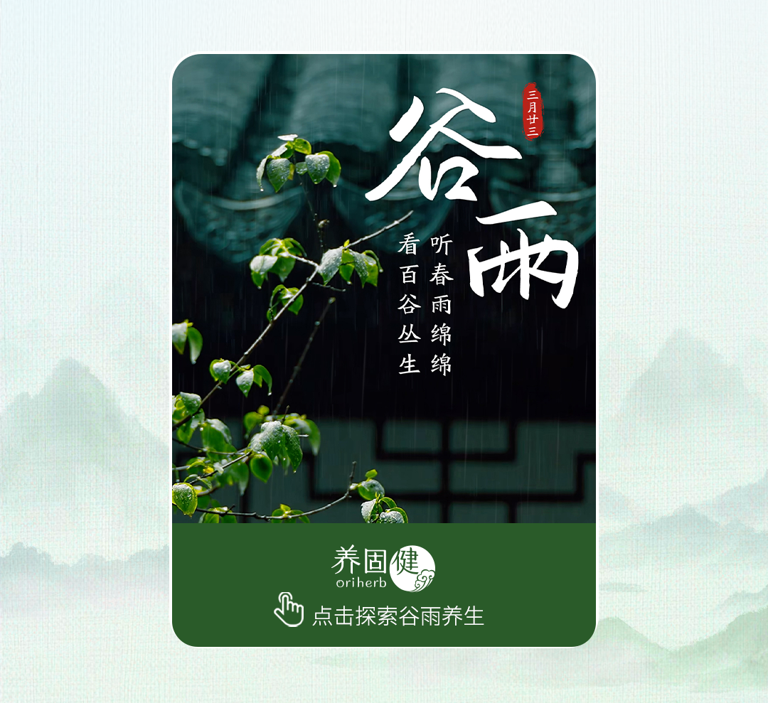 谷雨长图无产品版本_08