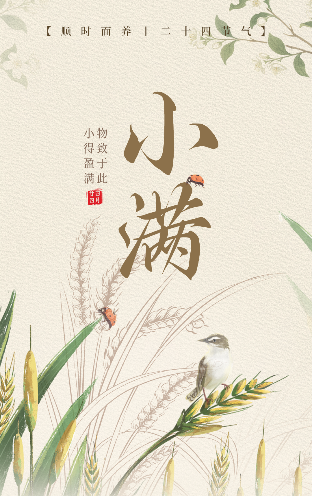 20250519-养固健公众号小满时节，抓住时机，让身体的气血、正气也“满起来”-切图_01