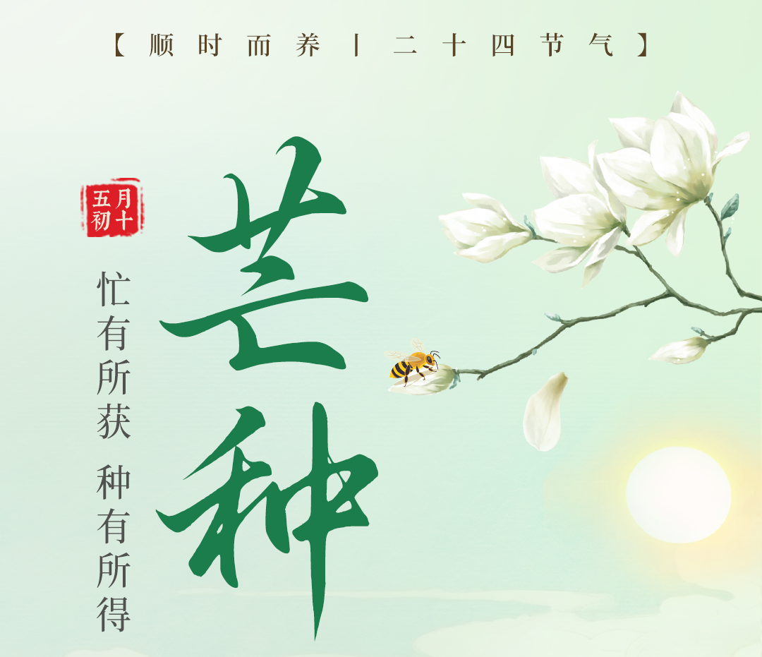 20250603-新平衡生活+公众号-芒种扶正气、健脾胃，无惧盛夏“考”验-源文件_01