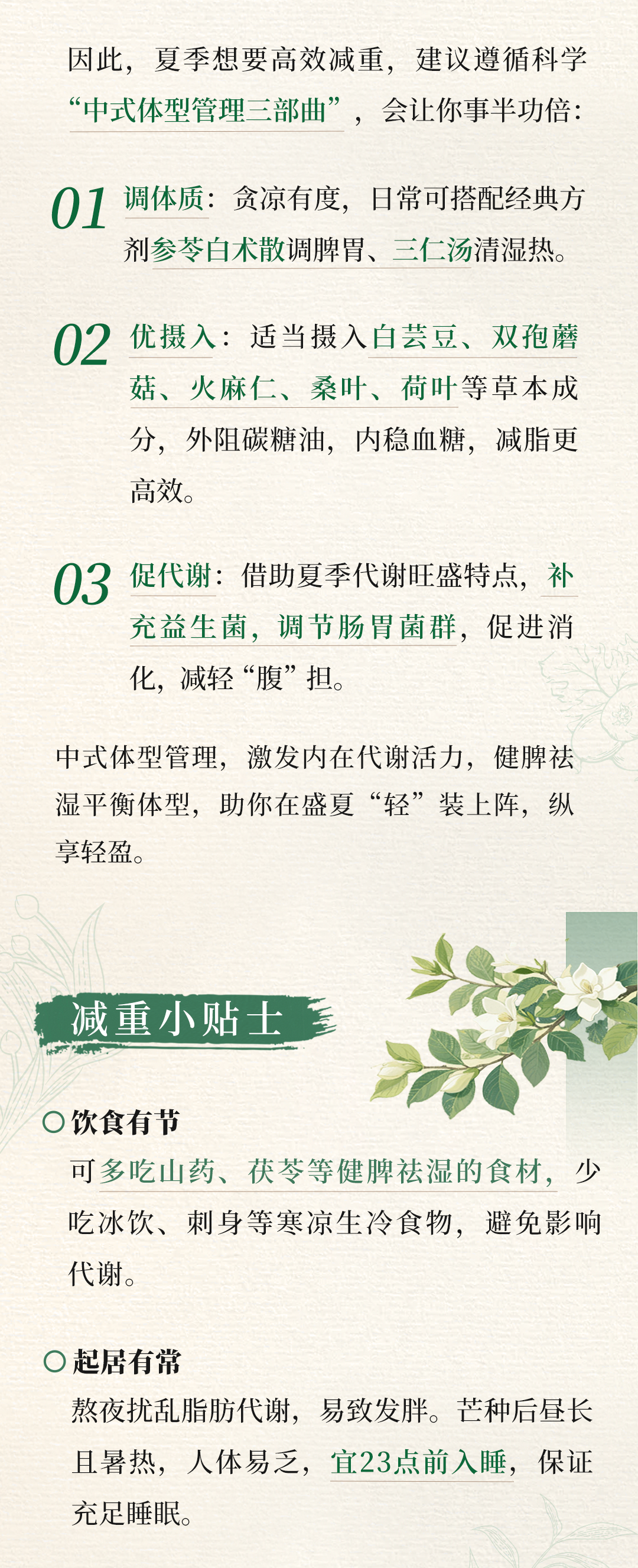 20250603-新平衡生活+公众号-芒种扶正气、健脾胃，无惧盛夏“考”验-源文件_08