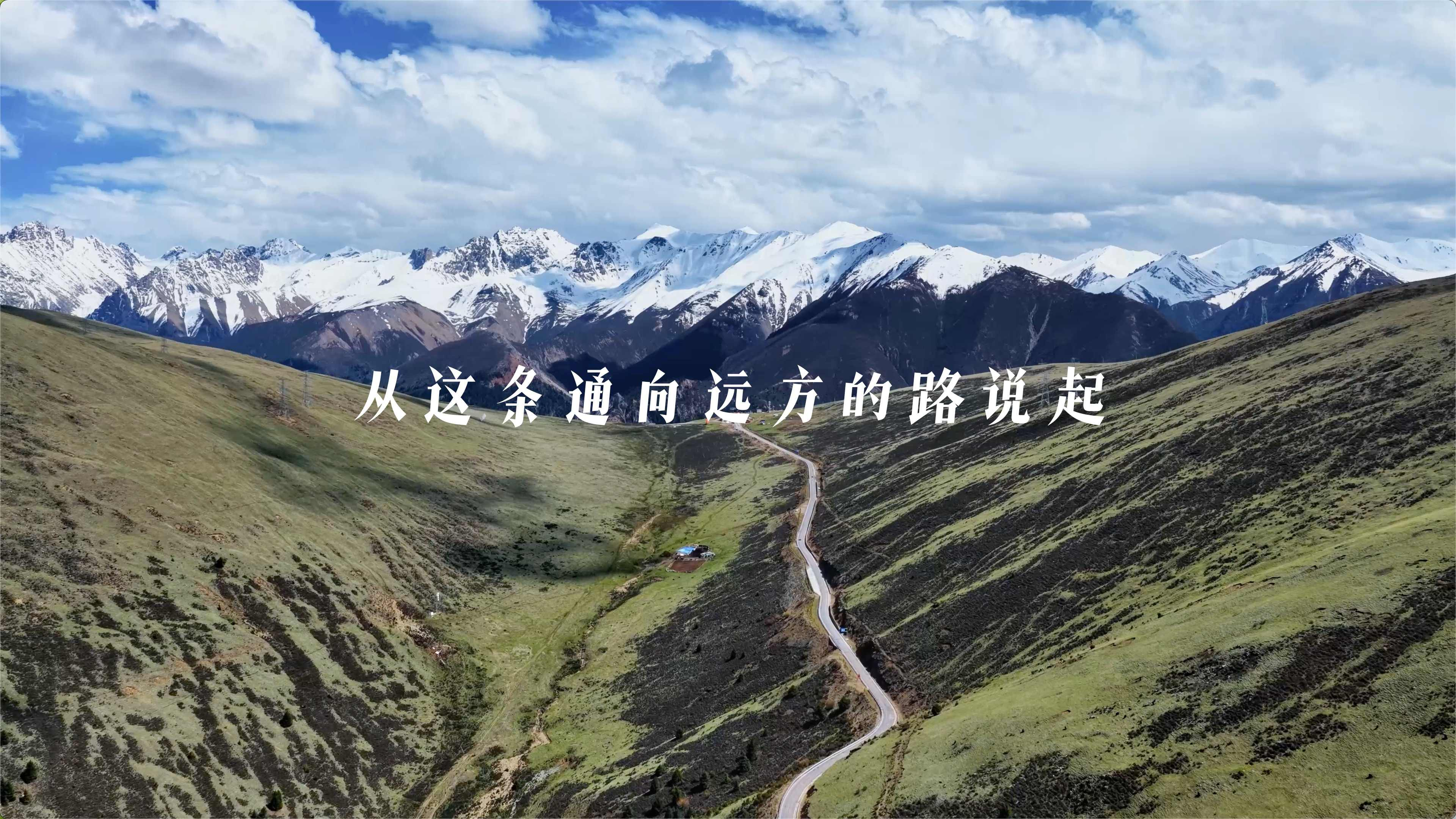 无限极微刊-从这条通向远方的路说起-2025-0709推文插图-寻找道地药材