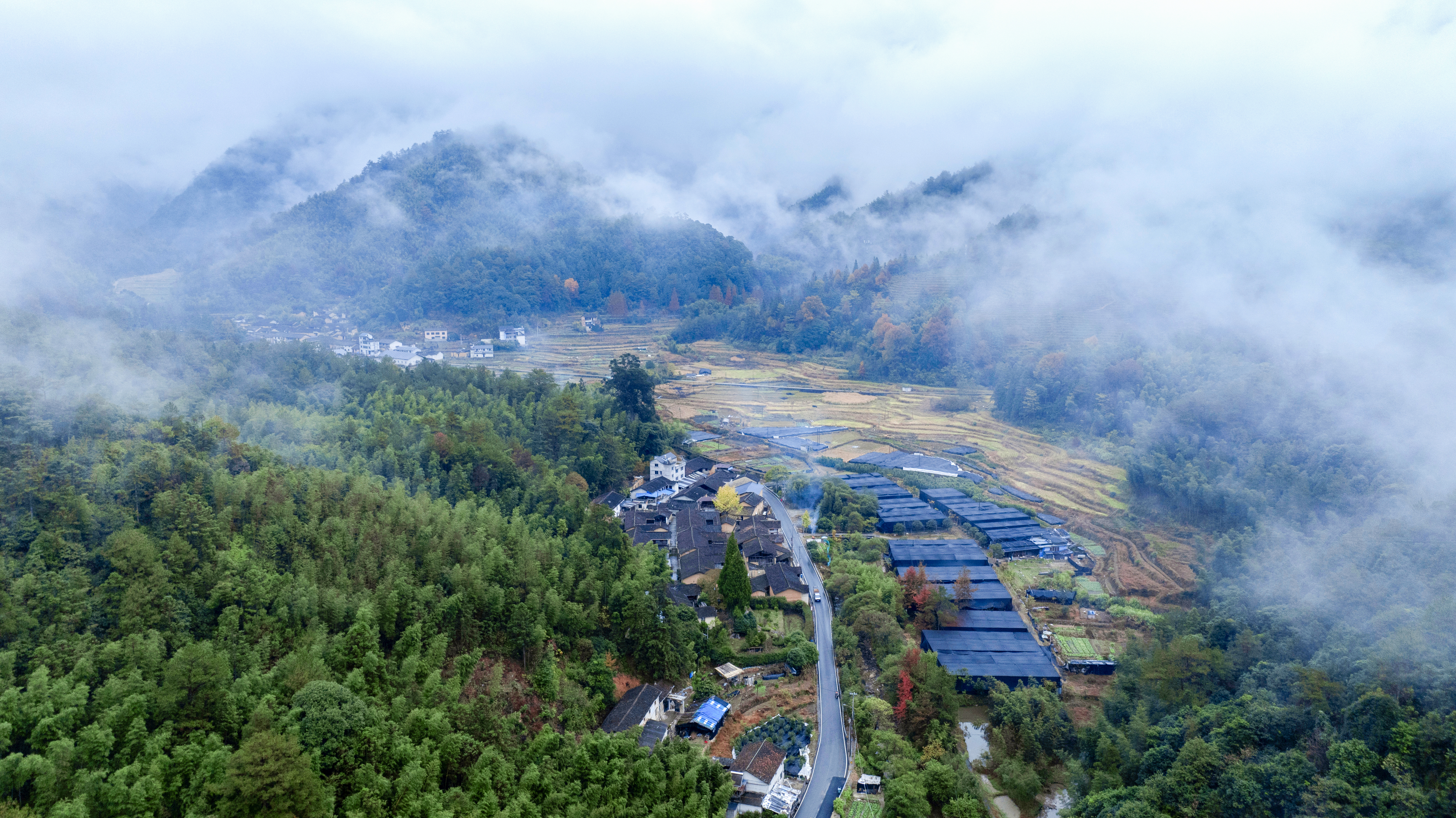 无限极微刊-山路崎岖-2025-0709推文插图-寻找道地药材