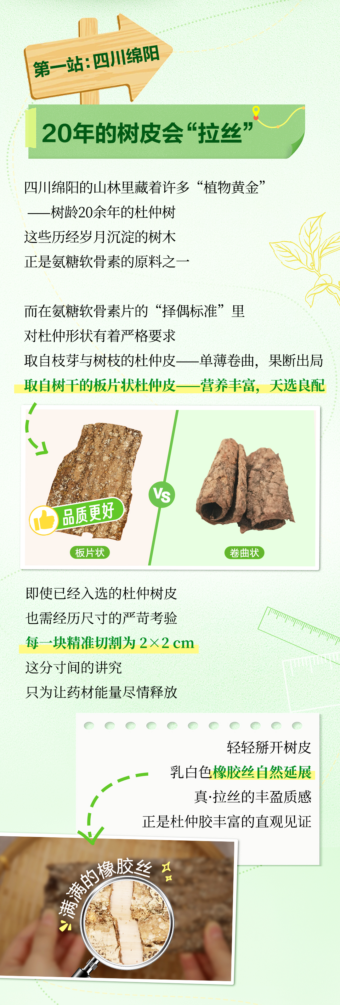 无限极微刊-氨糖软骨素片03-2025-0717推文插图-原材料溯源之旅