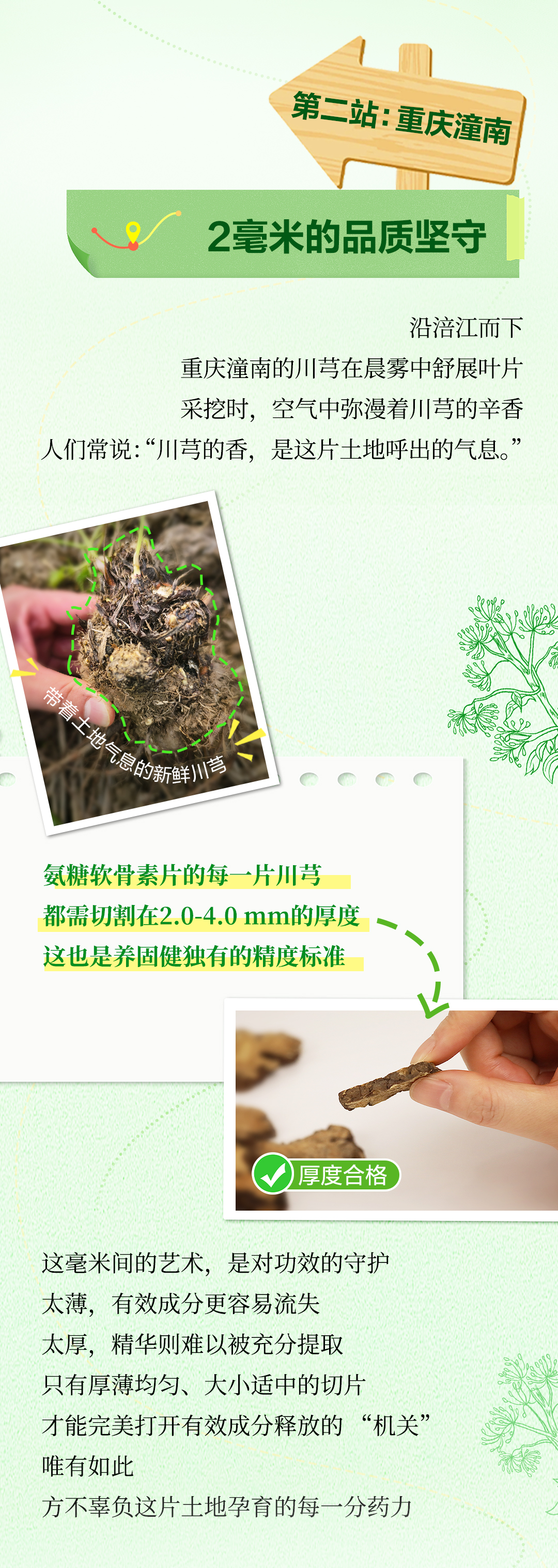 无限极微刊-氨糖软骨素片04-2025-0717推文插图-原材料溯源之旅