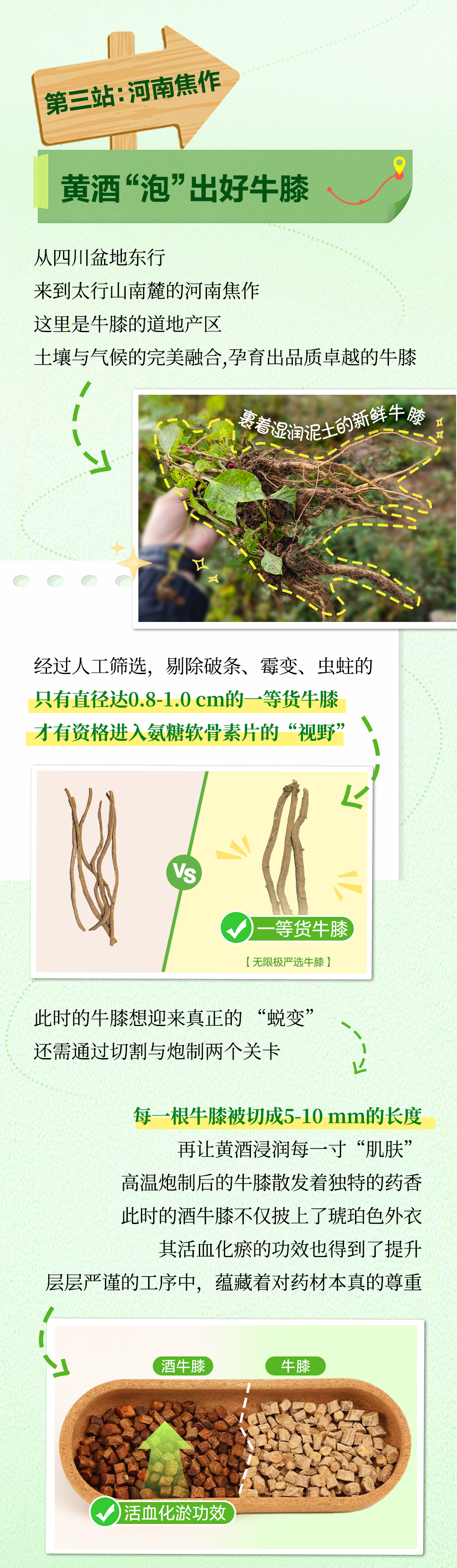 无限极微刊-氨糖软骨素片05-2025-0717推文插图-原材料溯源之旅