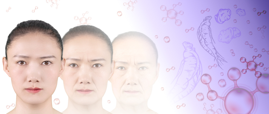 无限极微刊-推文配图1-2025-1013-中式细胞延衰方案：从草本到细胞，健康寿命可感知