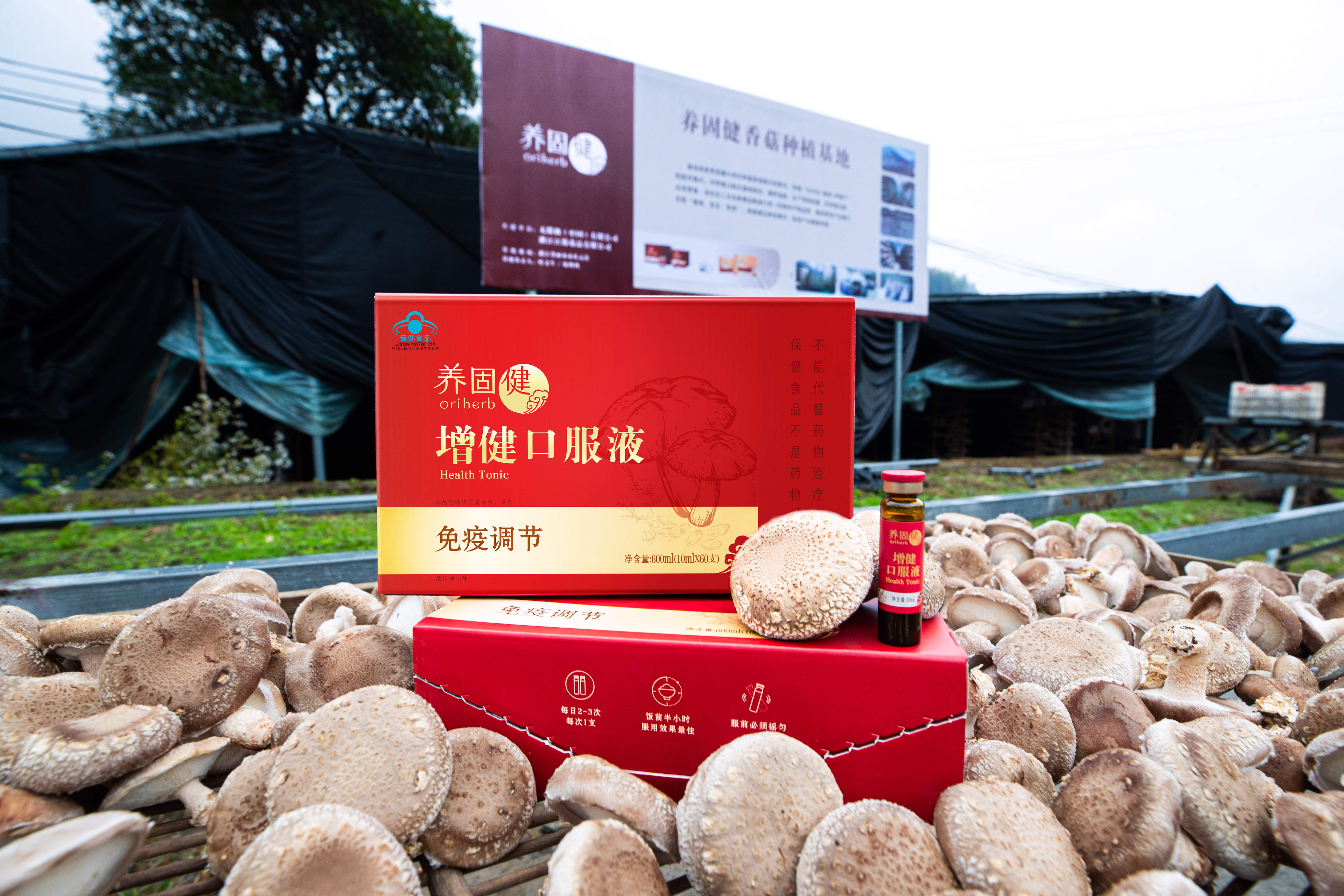 无限极微刊-基地现场2-2025-1114-养固健中草药种植基地火热开放中！快来报名