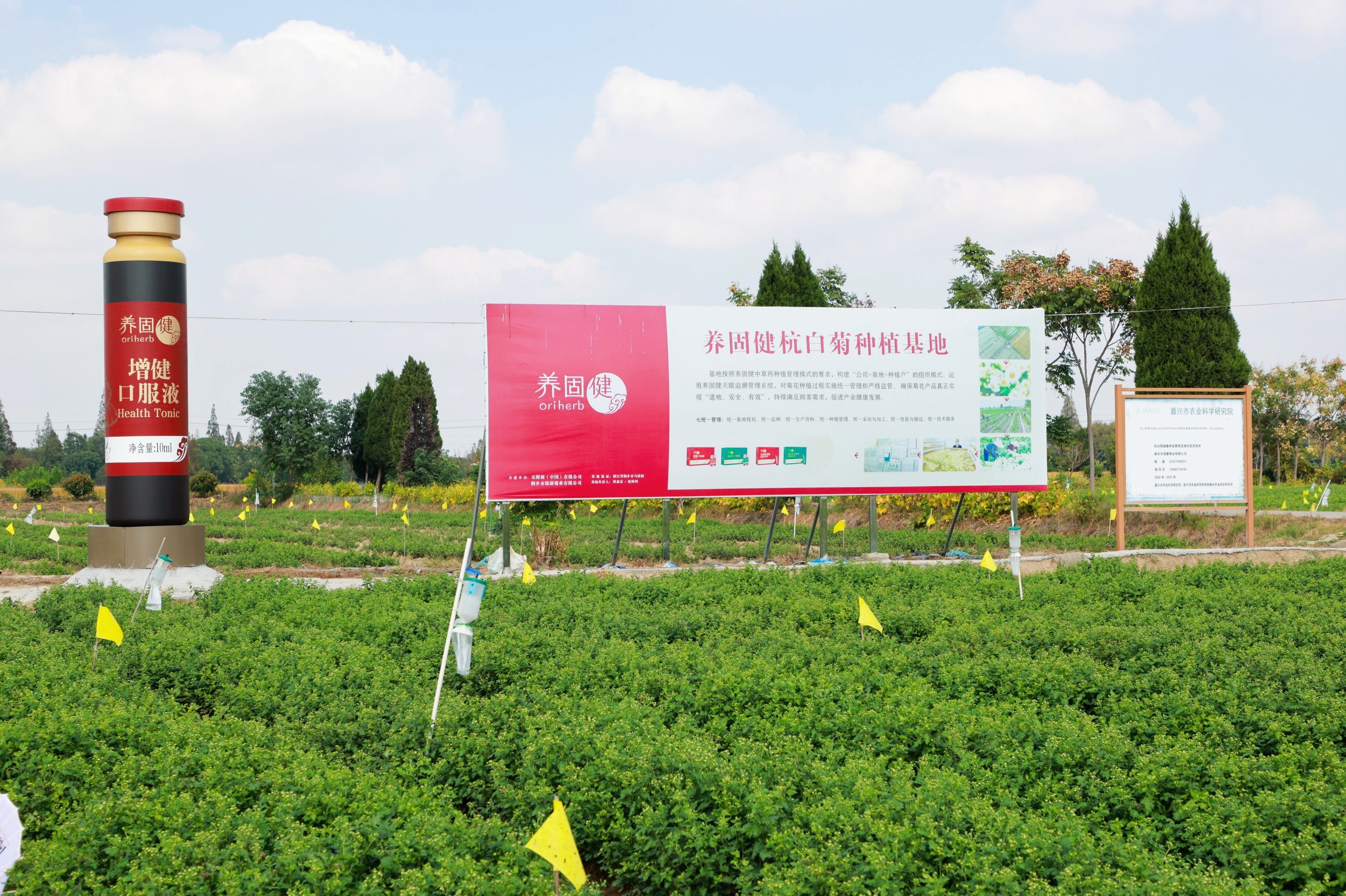 无限极微刊-基地现场5-2025-1114-养固健中草药种植基地火热开放中！快来报名