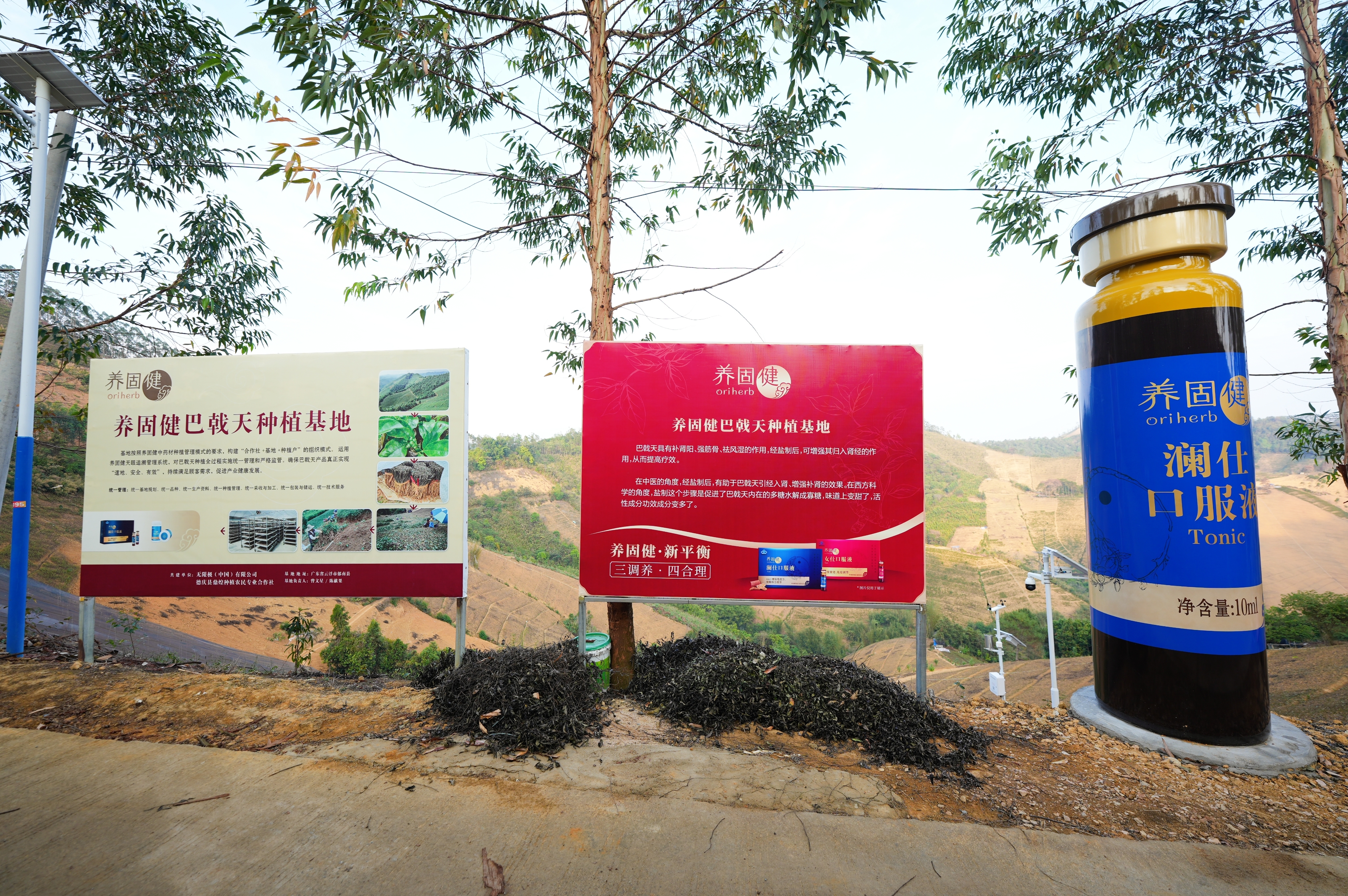 无限极微刊-基地现场7-2025-1114-养固健中草药种植基地火热开放中！快来报名