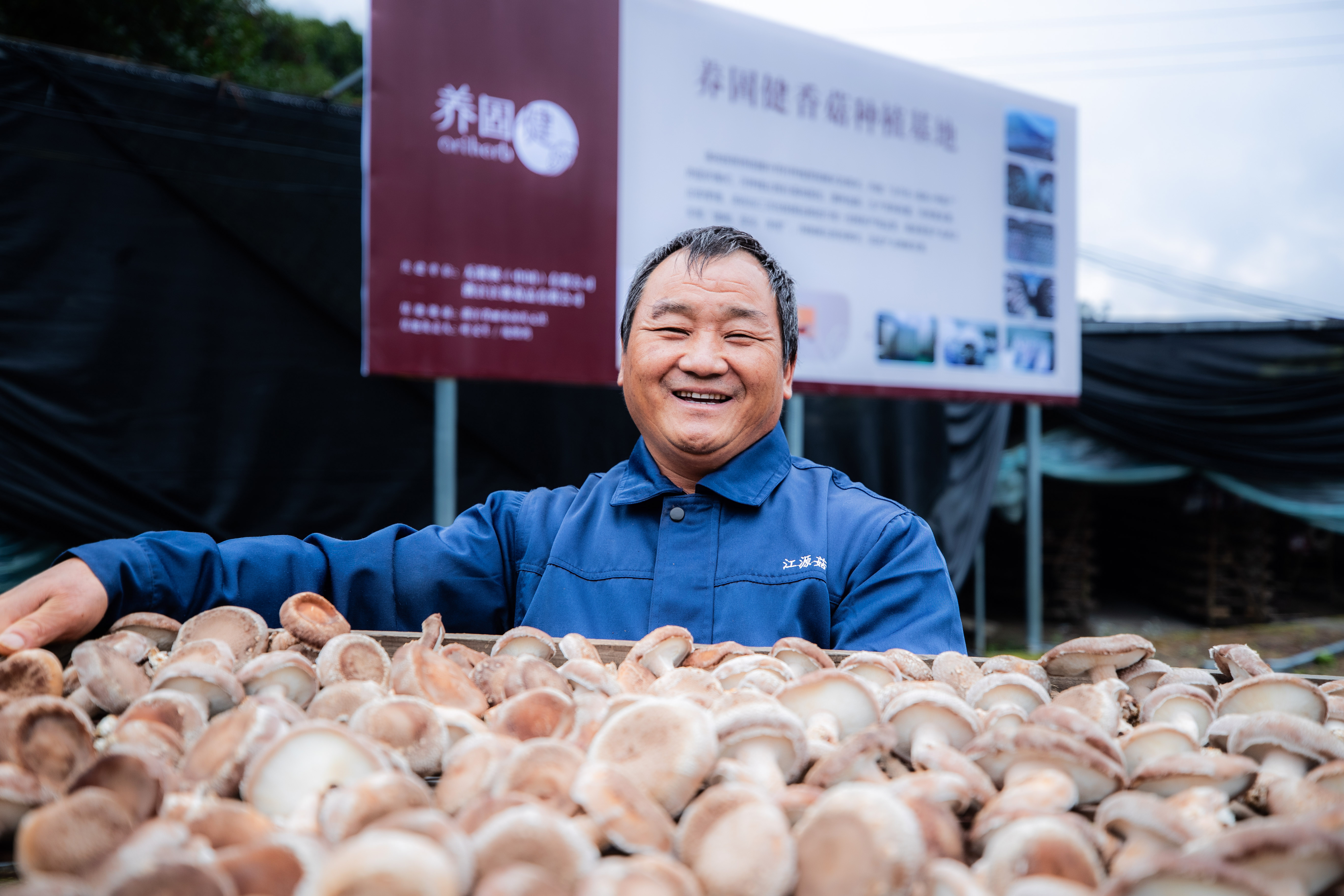 无限极微刊-基地现场10-2025-1114-养固健中草药种植基地火热开放中！快来报名