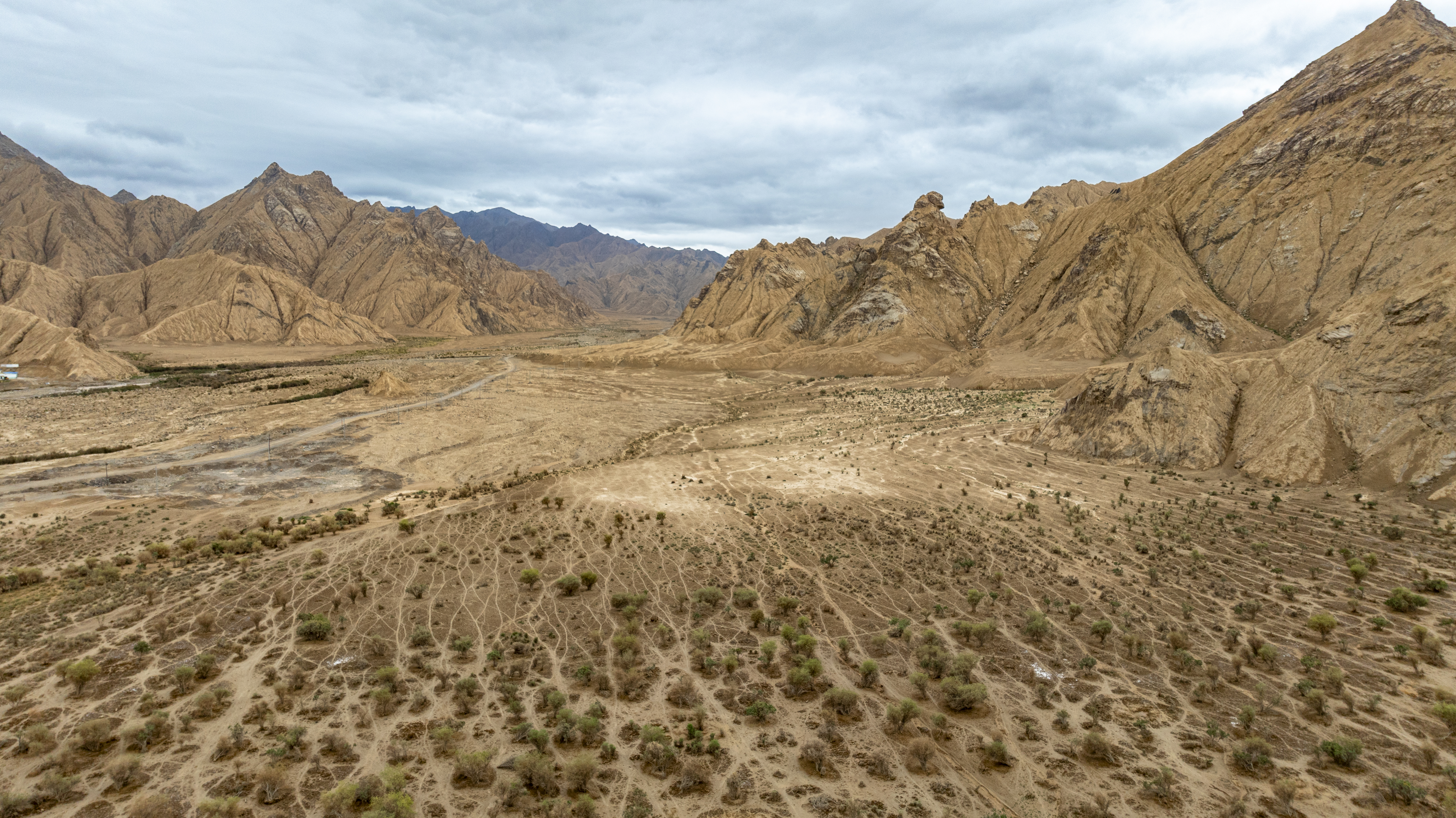 无限极微刊-产地溯源4-2025-1121-看得见的好枸杞，看不见的严标准