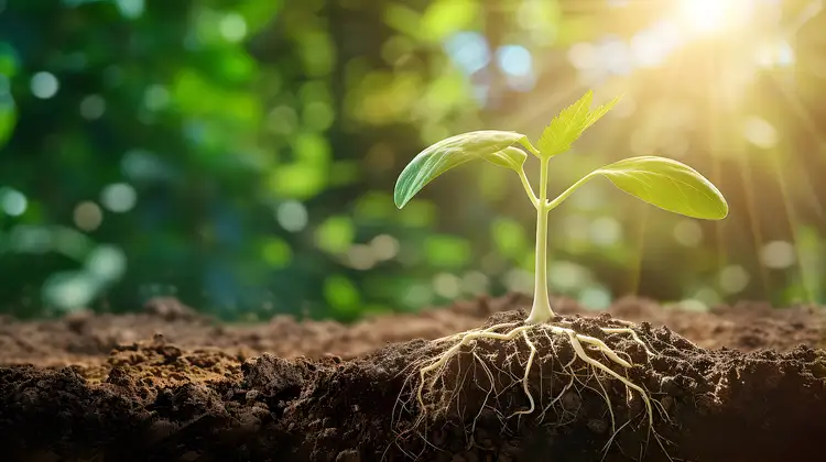 新年快樂！2026一起內力萌生！