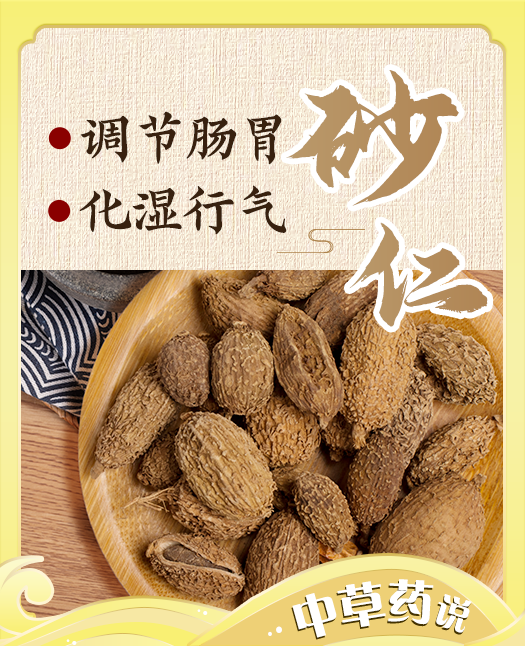 【砂仁】温中化湿的“香料良药”