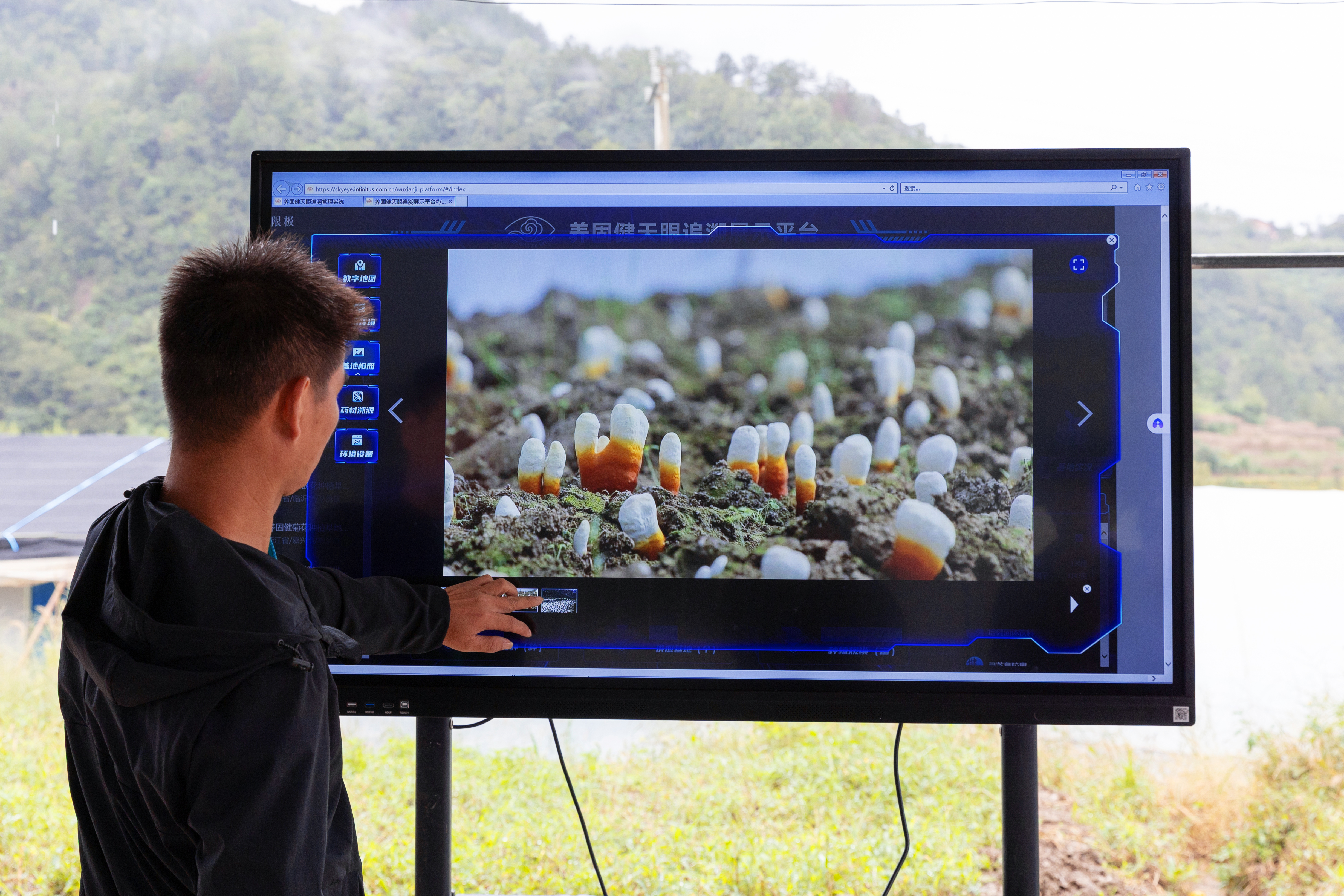 赤灵芝溯源专题图片34