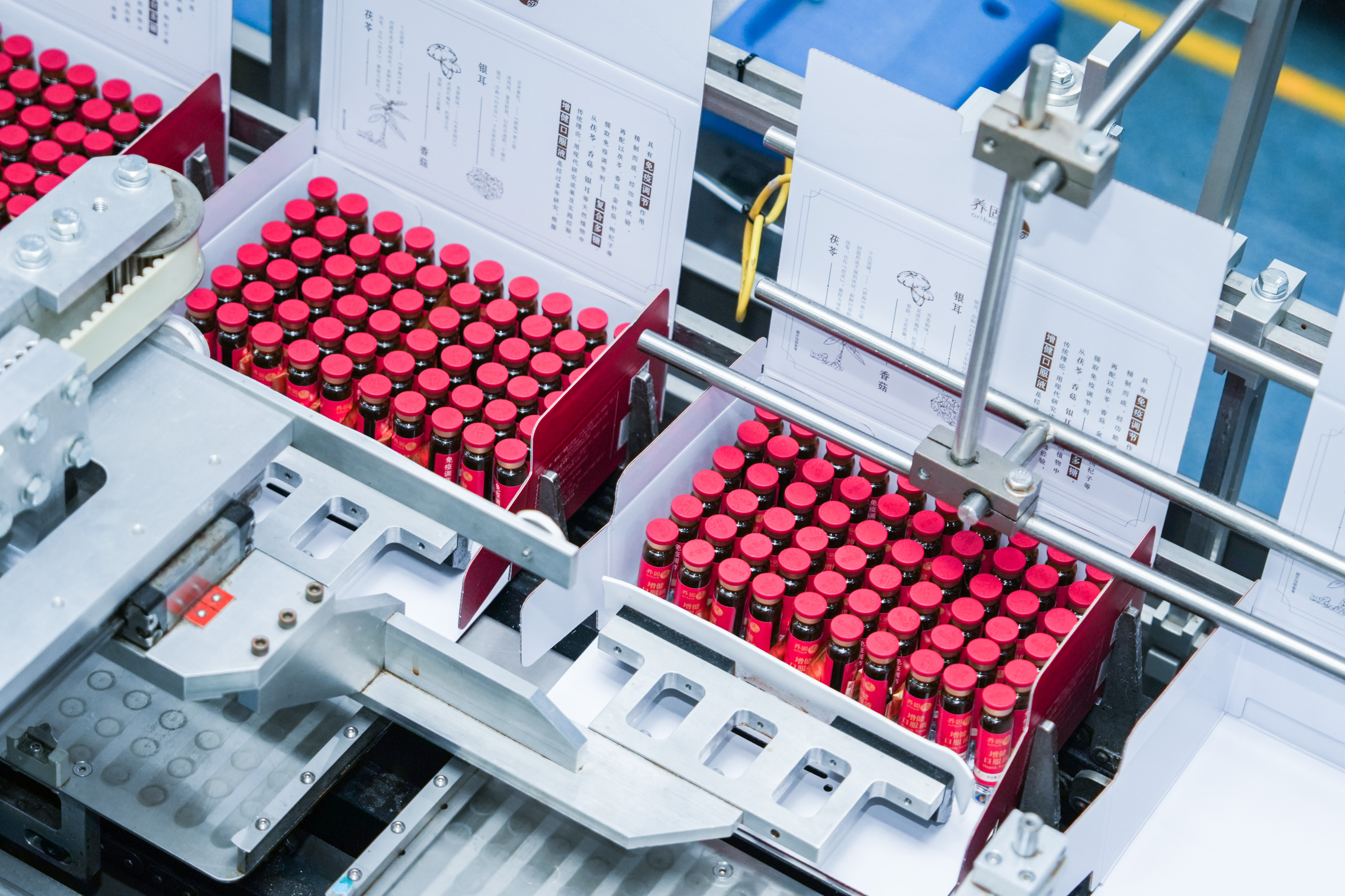 2025新会工厂生产线54