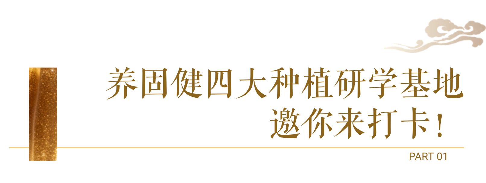 微信图片_2026-04-14_100805_028