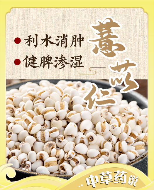 【薏苡仁】药食同源，祛湿利器