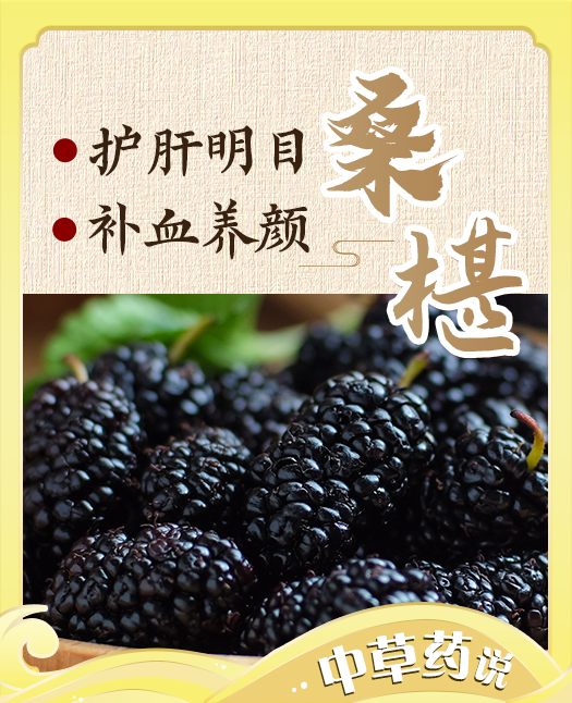 【桑椹】养生“黑宝石”，护肝养颜就吃它！