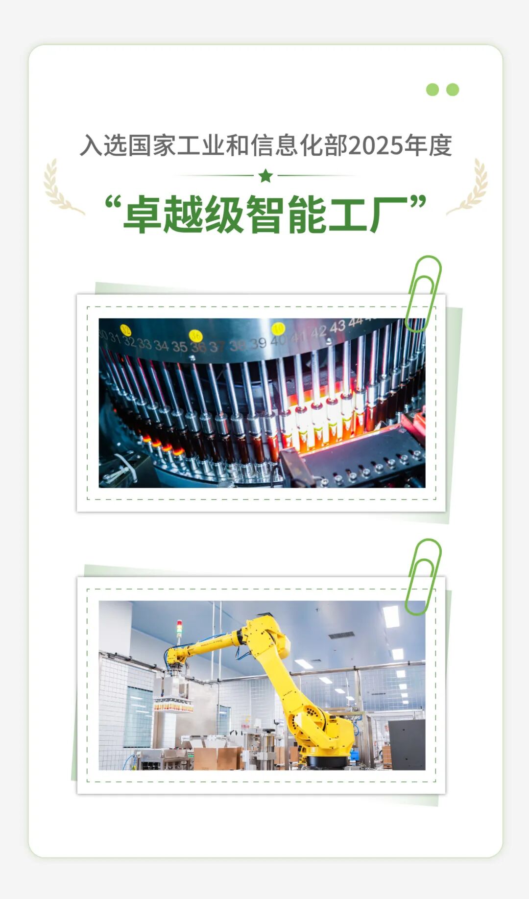 图片8