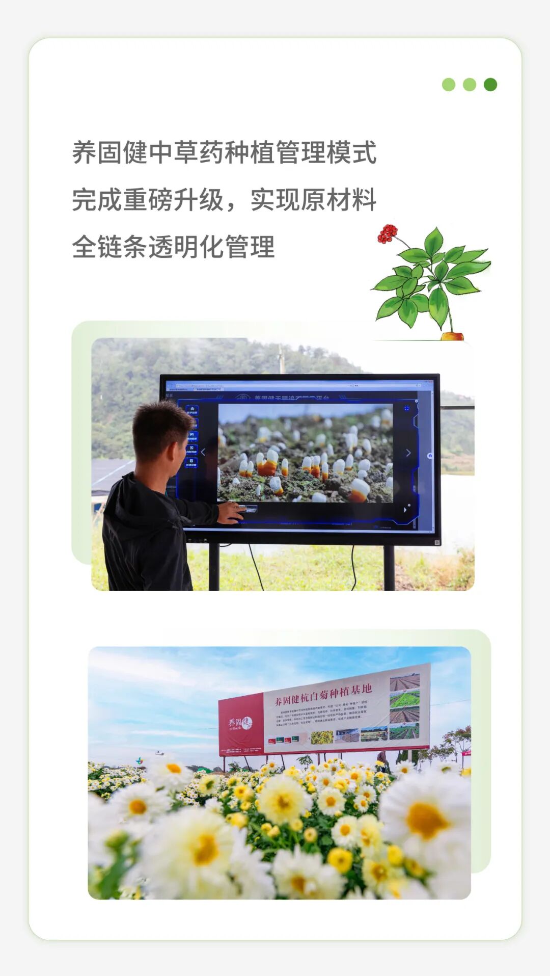 图片13