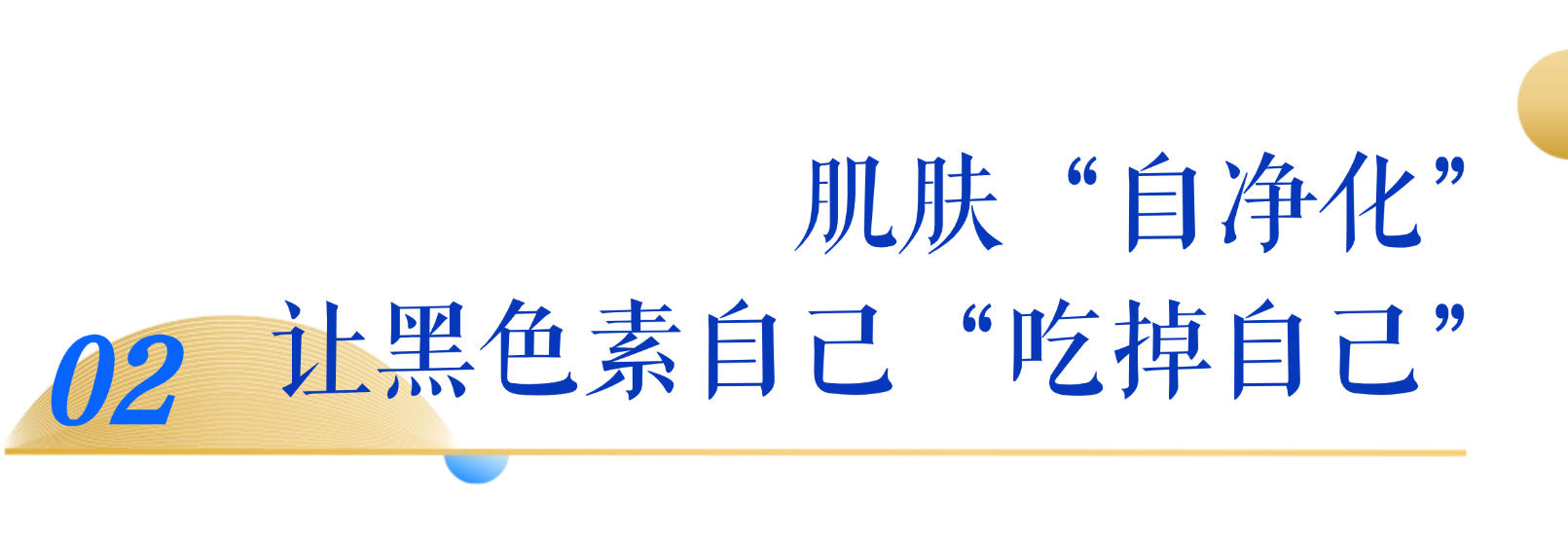 無限極微刊-標(biāo)題2-2026-0526-無限極攜手權(quán)威專家，共探好氣色健康美白之道