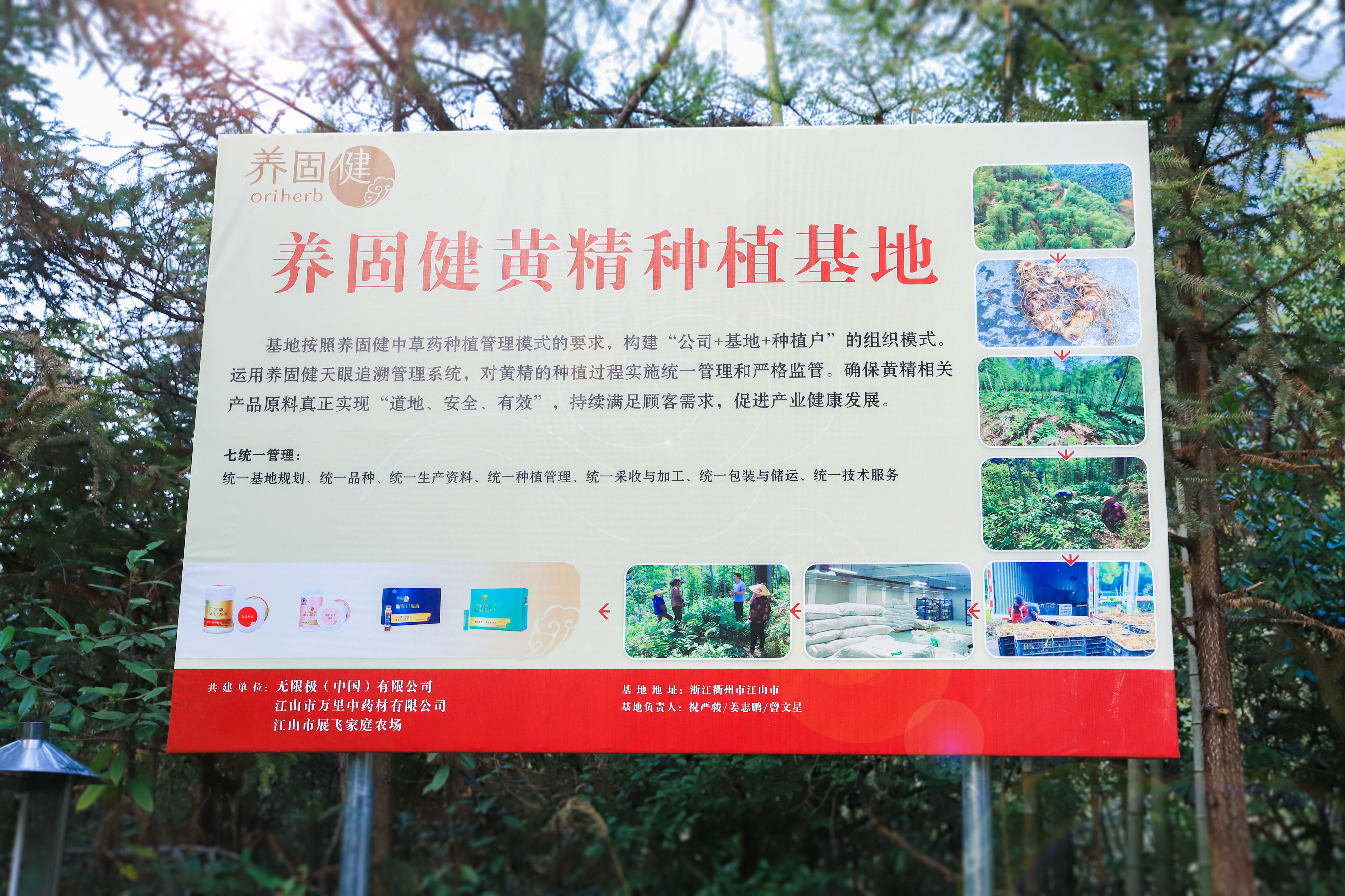 无限极微刊-产地图2-2026-0604-直播预告丨首次探秘养固健黄精基地！揭秘道地原乡的“仙人余粮”