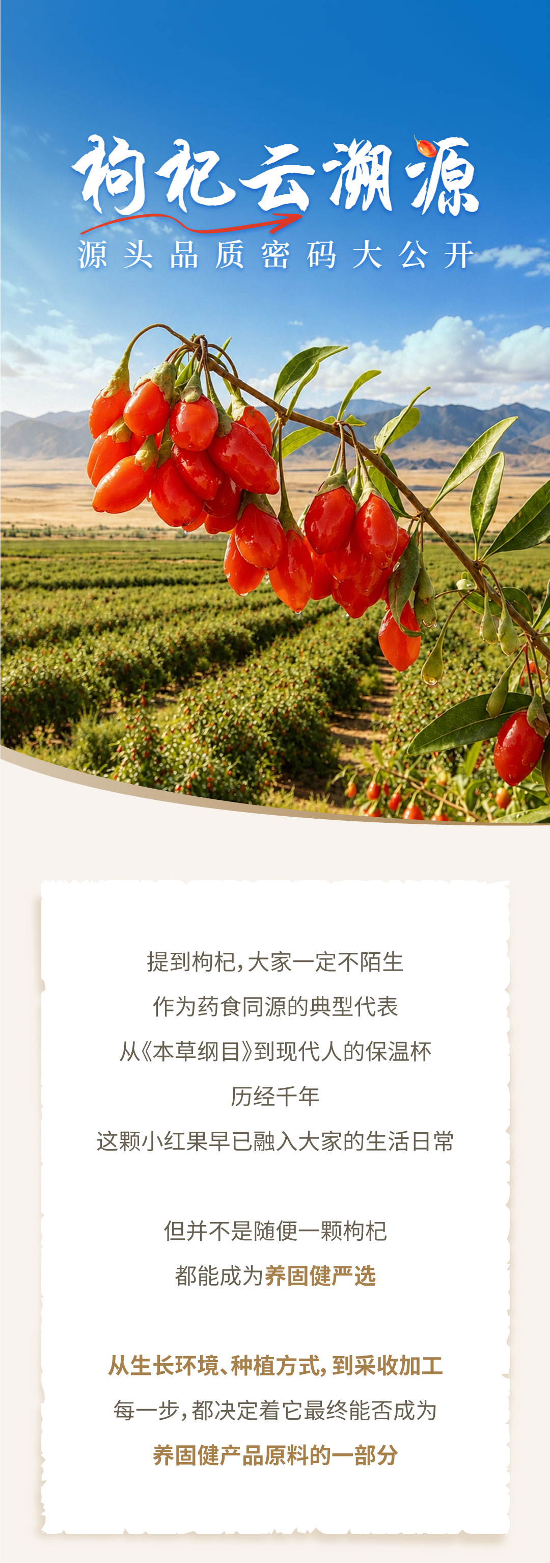 无限极微刊-推文配图1-2026-0820-枸杞云溯源，源头品质密码大公开！