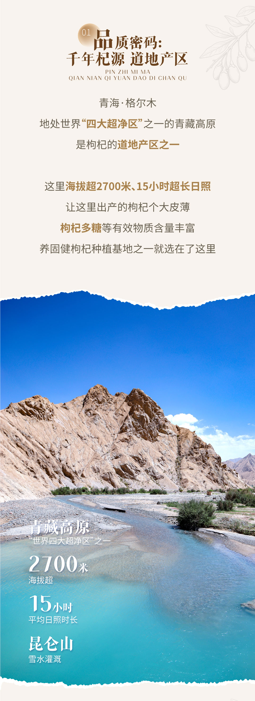 无限极微刊-推文配图3-2026-0820-枸杞云溯源，源头品质密码大公开！