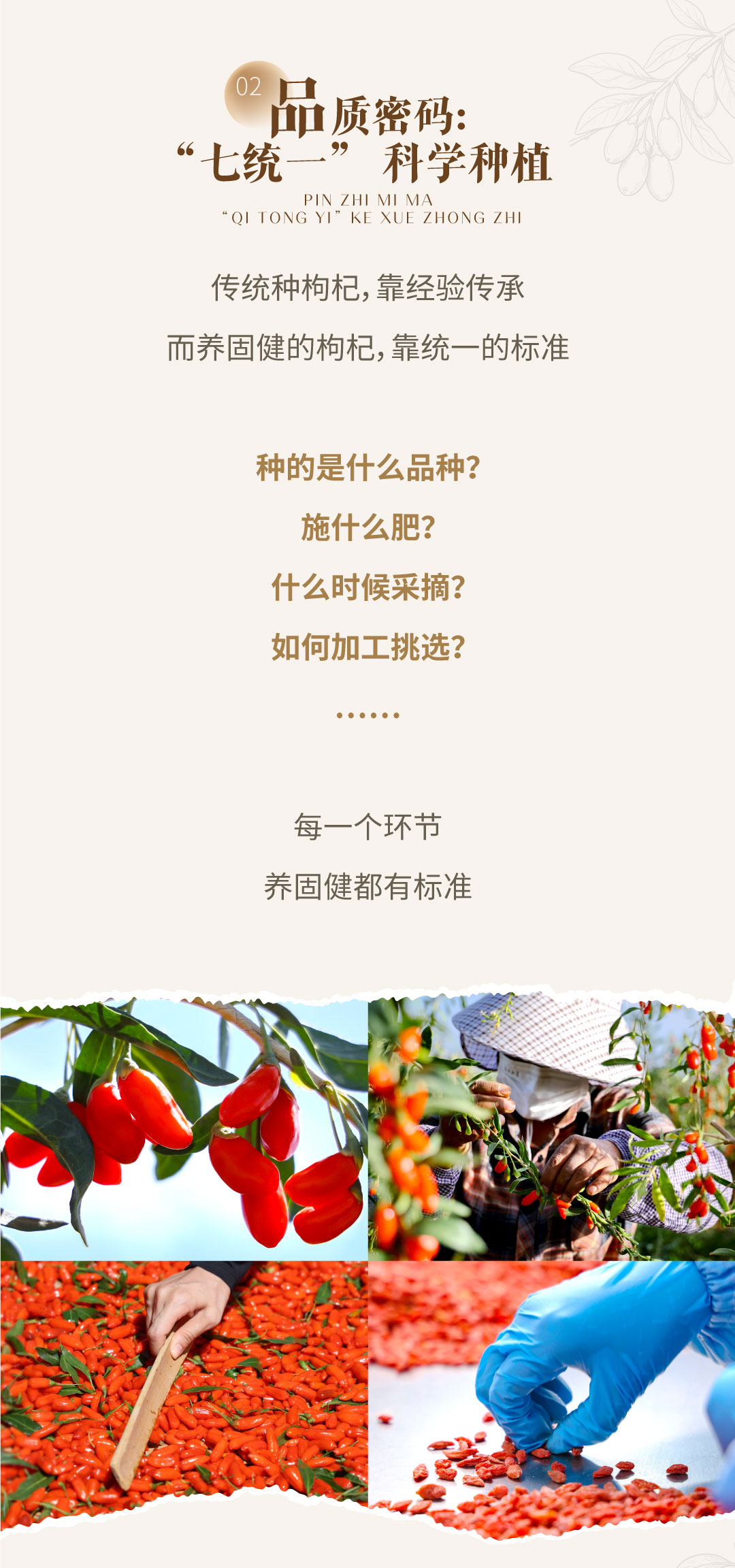 无限极微刊-推文配图4-2026-0820-枸杞云溯源，源头品质密码大公开！