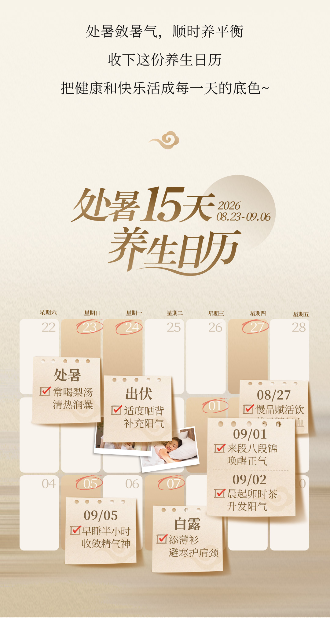 养固健处暑长图_04