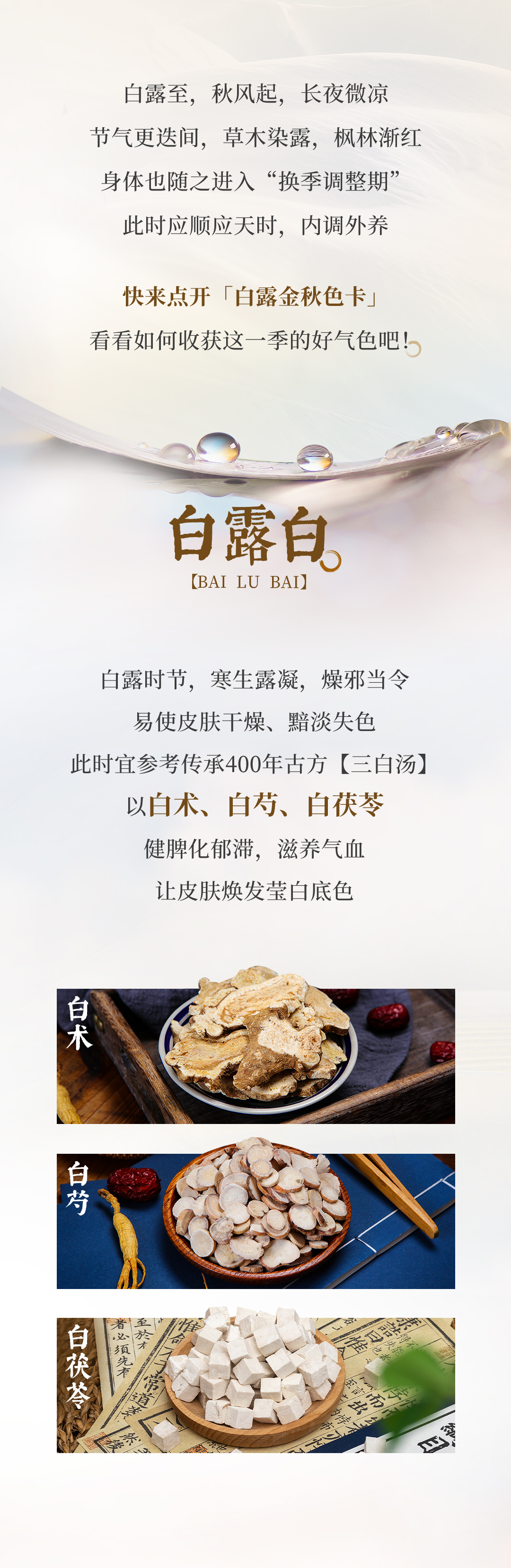 20260903-养固健服务号-白露到！缤纷秋色里还藏着这些好气色妙招（文末有礼）-源文件_02