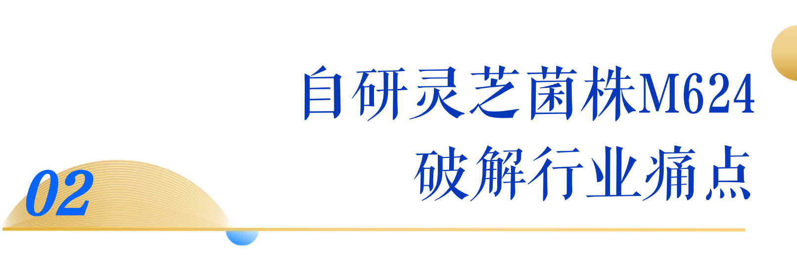 稿定设计-2
