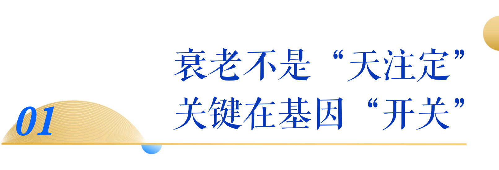 微信图片_2026-10-13_143549_910