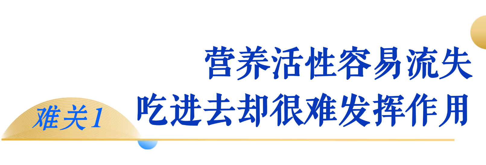 微信图片_2026-10-20_111113_098