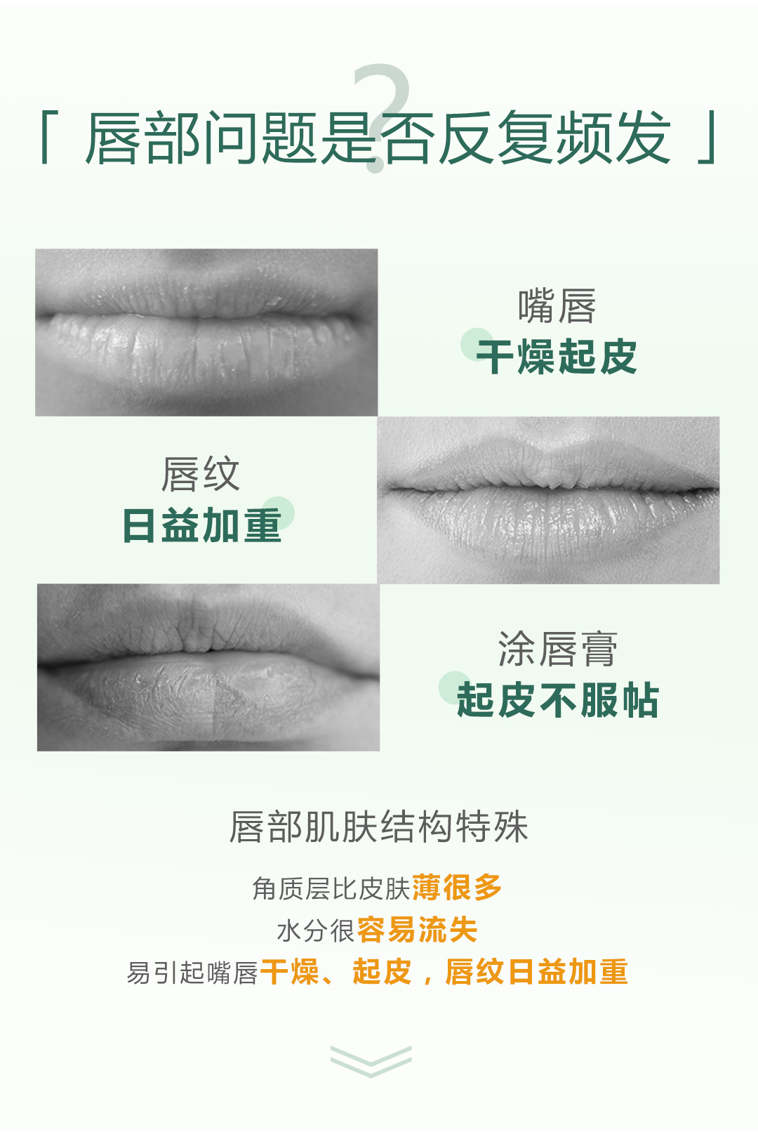 18074-05心维雅山茶籽油保湿润唇膏详情页-0919AW_02