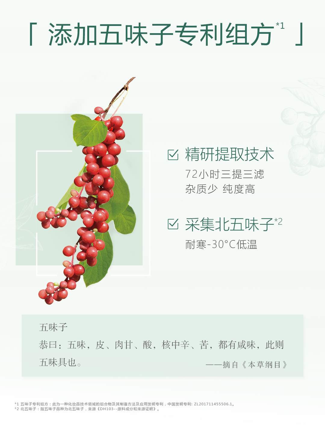 18074-05心维雅山茶籽油保湿润唇膏详情页-0919AW_05