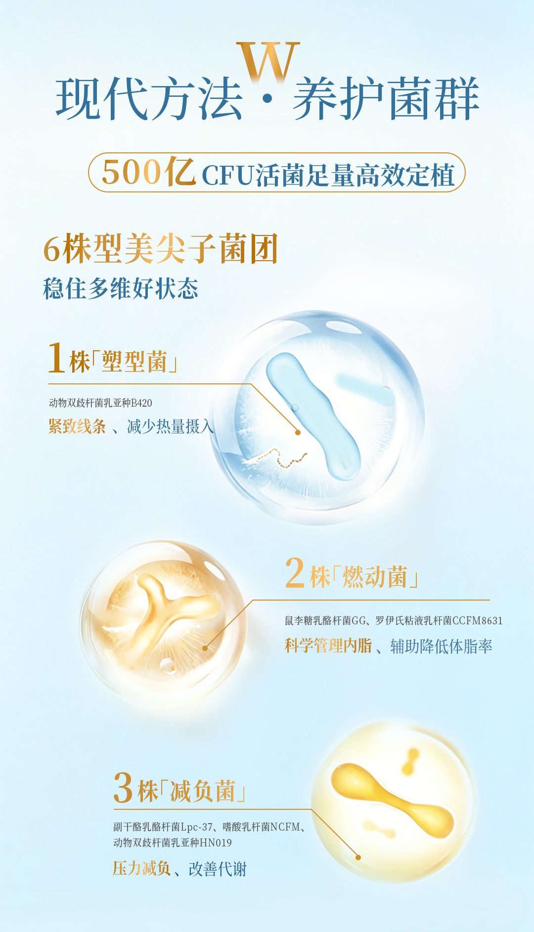 型美菌详情页0614_05