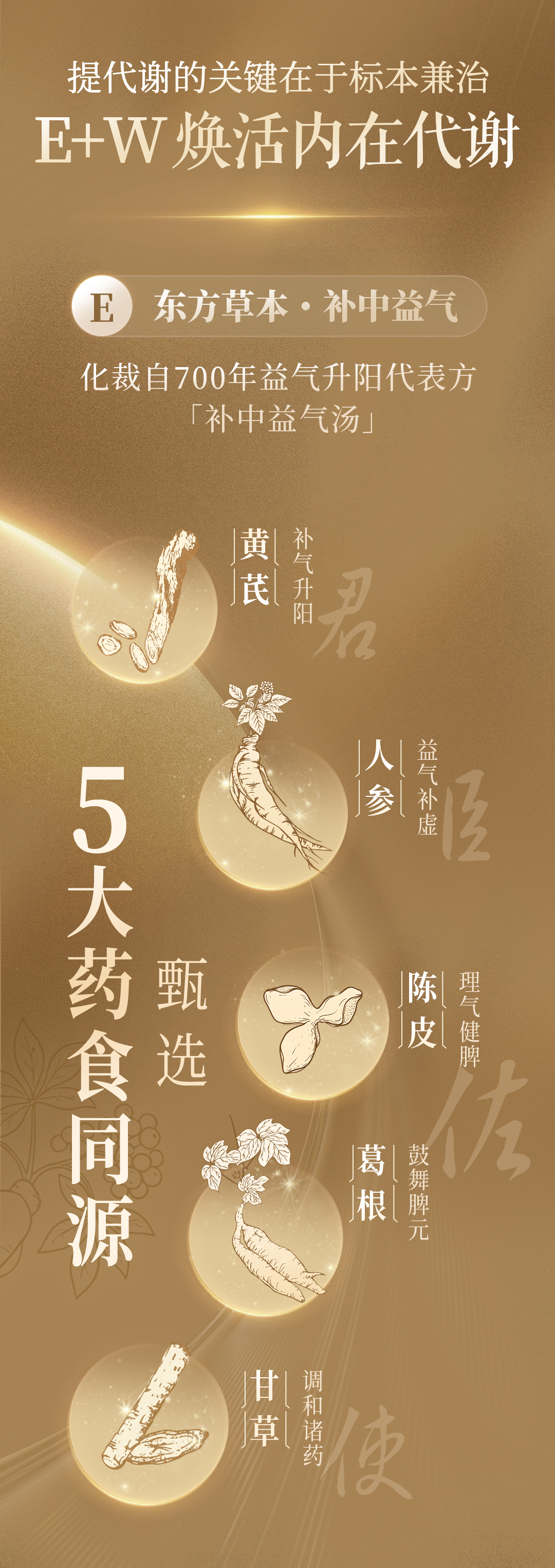 蛋白多多_04