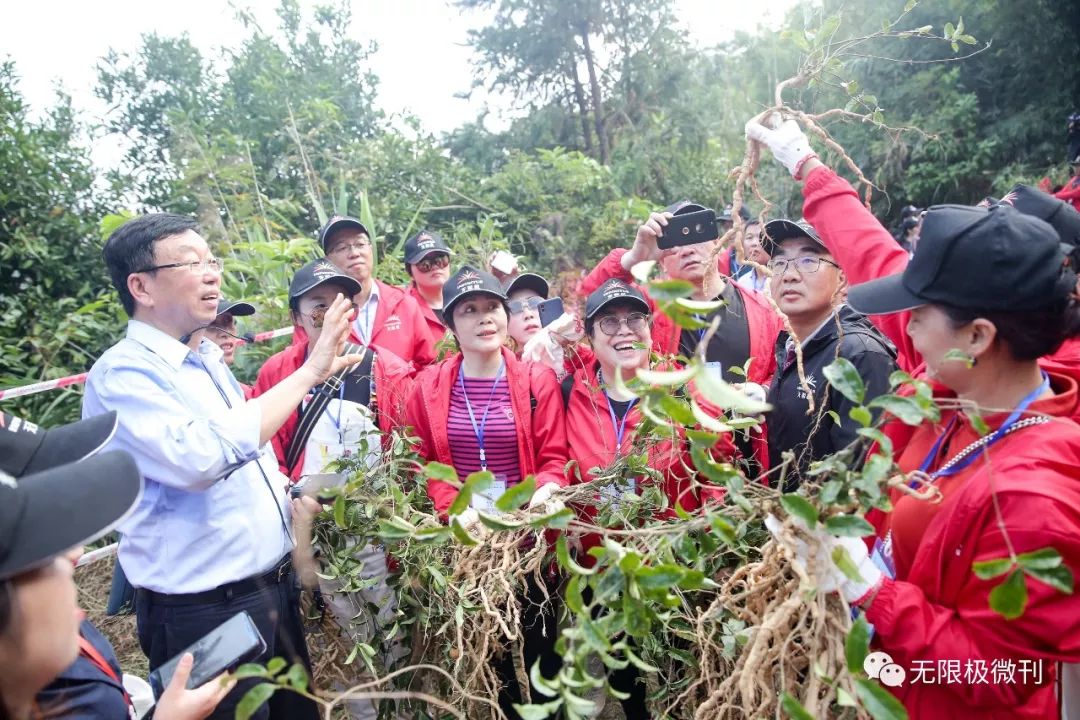 對無限極道地巴戟天供應基地,天方健道地巴戟天種植基地豐收的期盼